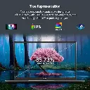 81vdBcIYXjL._AC_SX522_.webp
