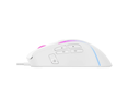 MS1033_3.jpg.webp